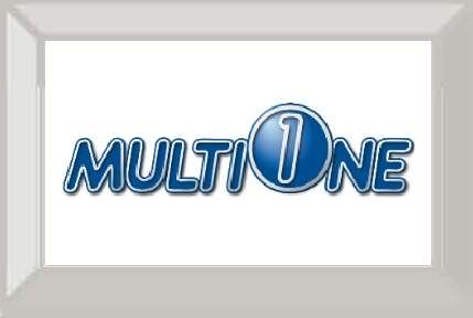 1 multione 1
