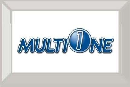 1_multione_1_100