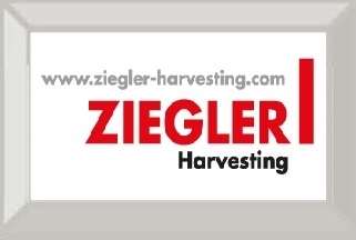 1_ziegler_115