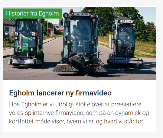 egholm firmavideo